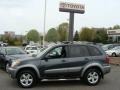 Flint Mica - RAV4 4WD Photo No. 3