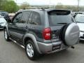Flint Mica - RAV4 4WD Photo No. 4