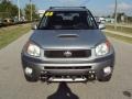 Titanium Metallic - RAV4  Photo No. 14