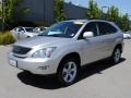Millennium Silver Metallic - RX 350 AWD Photo No. 3