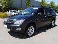 2009 Smokey Granite Lexus RX 350 AWD  photo #3