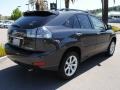 2009 Smokey Granite Lexus RX 350 AWD  photo #7