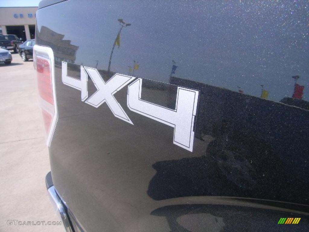 2010 F150 XLT SuperCab 4x4 - Tuxedo Black / Medium Stone photo #4
