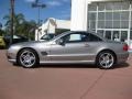 Pewter Metallic - SL 500 Roadster Photo No. 3