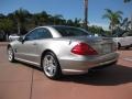Pewter Metallic - SL 500 Roadster Photo No. 4