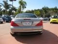Pewter Metallic - SL 500 Roadster Photo No. 5