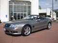 Pewter Metallic - SL 500 Roadster Photo No. 7
