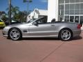 Pewter Metallic - SL 500 Roadster Photo No. 8