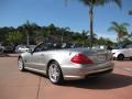 Pewter Metallic - SL 500 Roadster Photo No. 9