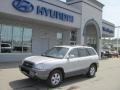 Pewter 2006 Hyundai Santa Fe Limited 4WD