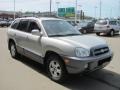 Pewter - Santa Fe Limited 4WD Photo No. 8
