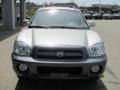 Pewter - Santa Fe Limited 4WD Photo No. 9