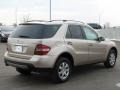 2006 Desert Silver Metallic Mercedes-Benz ML 350 4Matic  photo #4