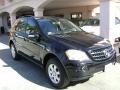 Black - ML 350 4Matic Photo No. 1