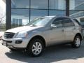 Pewter Metallic - ML 350 4Matic Photo No. 1