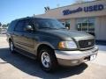 2000 Estate Green Metallic Ford Expedition Eddie Bauer  photo #2