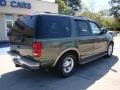 2000 Estate Green Metallic Ford Expedition Eddie Bauer  photo #8