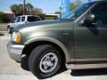 2000 Estate Green Metallic Ford Expedition Eddie Bauer  photo #39