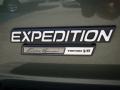 2000 Estate Green Metallic Ford Expedition Eddie Bauer  photo #45