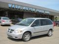 Bright Silver Metallic - Caravan SXT Photo No. 20