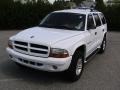 2001 Bright White Dodge Durango SLT 4x4  photo #1