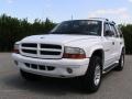 2001 Bright White Dodge Durango SLT 4x4  photo #2