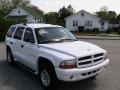 2001 Bright White Dodge Durango SLT 4x4  photo #10
