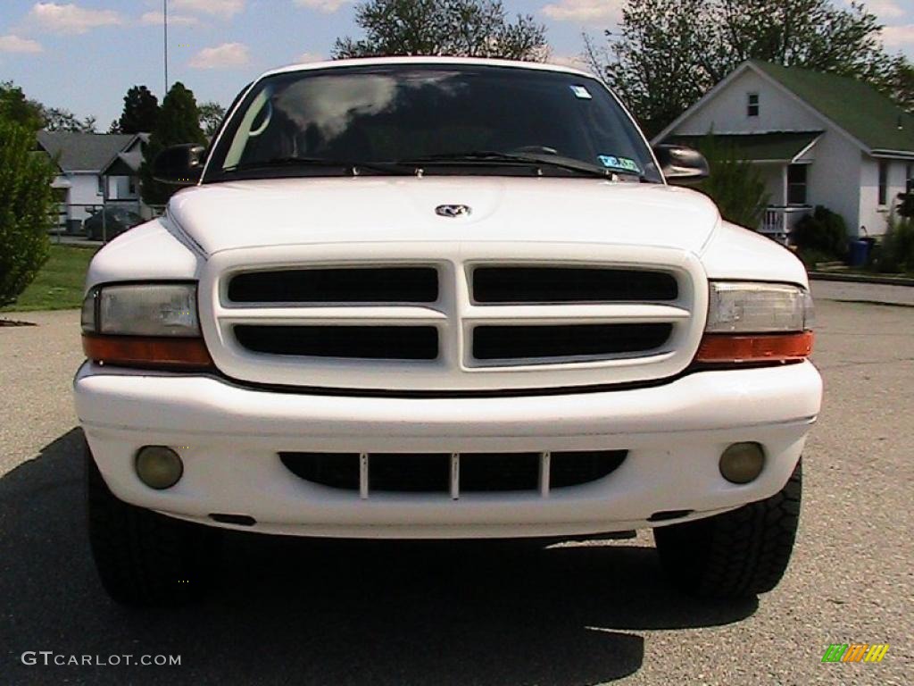 2001 Durango SLT 4x4 - Bright White / Taupe photo #13