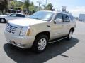 2007 Gold Mist Cadillac Escalade   photo #3