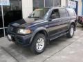 Memphis Blue Pearl - Montero Sport LS Photo No. 7