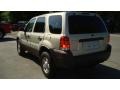 2005 Gold Ash Metallic Ford Escape XLS  photo #5