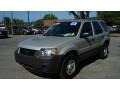 2005 Gold Ash Metallic Ford Escape XLS  photo #8