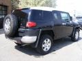 Black Diamond - FJ Cruiser 4WD Photo No. 3