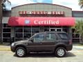 Charcoal Beige Metallic - Mariner Convenience Photo No. 1