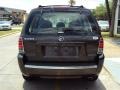 Charcoal Beige Metallic - Mariner Convenience Photo No. 2