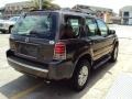 Charcoal Beige Metallic - Mariner Convenience Photo No. 4