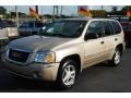 2004 Sand Beige Metallic GMC Envoy SLE  photo #10