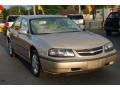 Sandstone Metallic - Impala  Photo No. 10