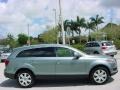 2007 Sycamore Green Metallic Audi Q7 3.6 Premium quattro  photo #7