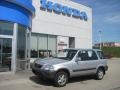 Sebring Silver Metallic - CR-V EX 4WD Photo No. 1