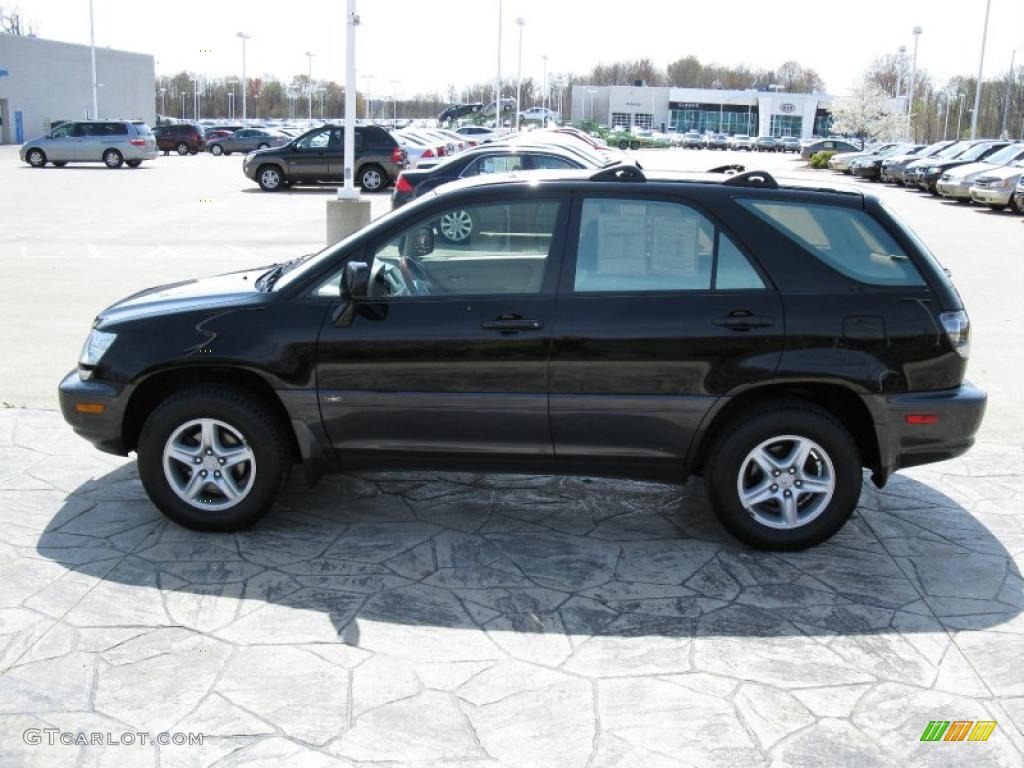 2001 RX 300 AWD - Black Onyx / Ivory photo #4