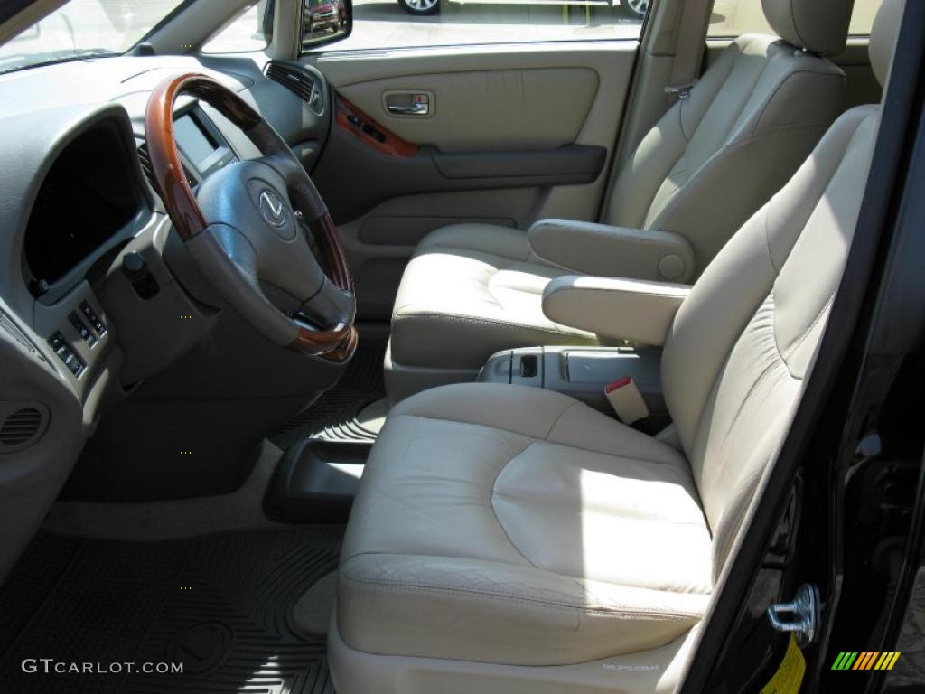 2001 RX 300 AWD - Black Onyx / Ivory photo #13