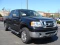 2008 Black Ford F150 XLT SuperCrew 4x4  photo #7