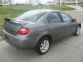 Mineral Gray Metallic - Neon SXT Photo No. 3