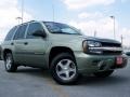 2004 Silver Green Metallic Chevrolet TrailBlazer LS 4x4  photo #1