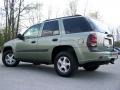 2004 Silver Green Metallic Chevrolet TrailBlazer LS 4x4  photo #4