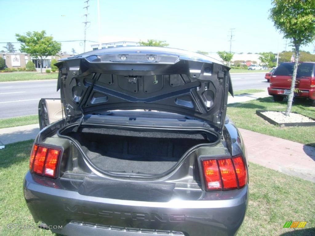 2003 Mustang GT Convertible - Dark Shadow Grey Metallic / Medium Parchment photo #9