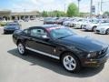 Black - Mustang V6 Deluxe Coupe Photo No. 7