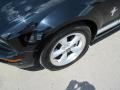 Black - Mustang V6 Deluxe Coupe Photo No. 9