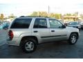 2004 Silverstone Metallic Chevrolet TrailBlazer LS  photo #10